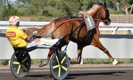 All'Ippodromo San Paolo si elegge il campione italiano: i nomi dei 10 driver finalisti