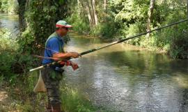 Pesca, le Marche sono l'unica regione autorizzata ad immettere trote nei propri fiumi