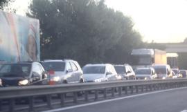 Montecosaro, cade il ramo di un albero lungo la Superstrada: traffico bloccato