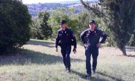 Incendi boschivi Estate 2019: forte impegno dei Carabinieri Forestali, ecco le loro raccomandazioni