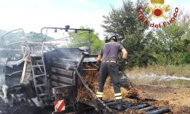 San Severino, trattore in fiamme: distrutti tre ettari di oliveto