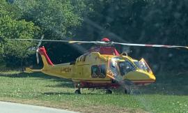 Castelraimondo, tenta di evitare un capriolo, ma finisce a terra con la moto: centauro a Torrette