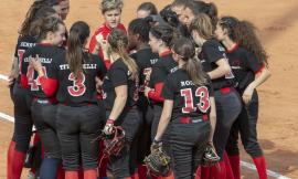 Macerata softball: al via i play-off per la promozione in A1