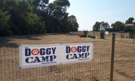 Civitanova, nasce Doggy Camp: 2500 metri per i nostri amici a quattro zampe