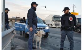 Il cane Wally in azione nel casolare dello spaccio: scatta la denuncia