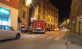 Tolentino, bambine piangono perché il gatto è fuggito: il padre chiama i Vigili del Fuoco per recuperarlo