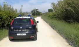 Recanati, fabbricato artigianale e casette abusive lungo il fiume Musone: denunciati i proprietari