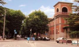 Tolentino, siepi attaccate dai parassiti: da lunedì 30 settembre il via al piano di trattamento