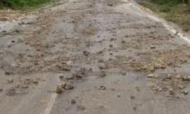 Montelupone, chiusa la Provinciale dell'Asola a causa di uno smottamento