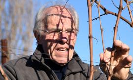 Overtime Wine Festival 2019, grande attesa per Nevio Scala