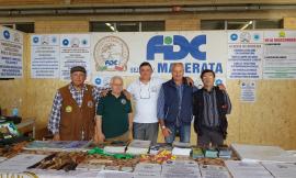 Grande successo a Villa Potenza per la 75esima Fiera degli uccelli e la Mostra Nazionale Cinofila