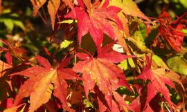 7 cose da fare in autunno a casa