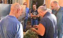 Corsi di cura del verde per adulti all'Istituto Agrario di Macerata