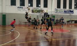Serie D, Volley Macerata: esordio duro per i ragazzi di Cacchiarelli