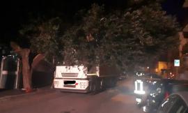 Porto Recanati, albero finisce sopra a un camion: Vigili del Fuoco sul posto (FOTO)