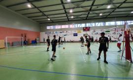 Volley, Serie D: brutta sconfitta nel derby per il Volley Macerata