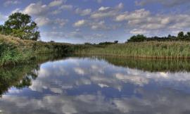 La Regione Marche sempre più "green": presentati i dati sull'ambiente dell'ARPAM