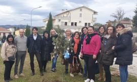 Appignano ha festeggiato la Giornata nazionale dell'albero