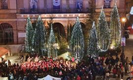 A Tolentino si accende il Bosco del Natale (FOTO)