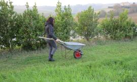 A Recanati nasce A.R.I.A., un'associazione per l'impegno ambientale