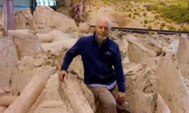 "Evoluzione degli elefanti nel Pleistocene":  Unicam in un team internazionale