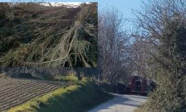 Civitanova, incendio in un canneto: vigili del fuoco al lavoro