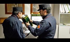 "Vecchio" olio pugliese spacciato per marchigiano e venduto come bio: maxi sequestro e due denunce