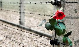 Recanati, Giorno della Memoria 2020: incontri, proiezioni cinematografiche e maratone di lettura