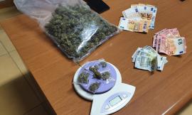 Civitanova, nasconde nel garage tre etti di marijuana: arrestato 21enne civitanovese