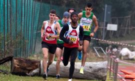 Atletica Avis Macerata, grandi risultati nella marcia e nella corsa campestre (Foto)