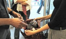 Civitanova, escono dal negozio senza pagare: fermate due ultracinquantenni