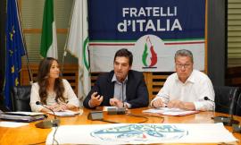 Ciccioli in festa per Acquaroli dopo i sondaggi: "Gradimento in forte crescita, è il quinto in Italia"