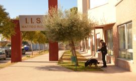 Macerata, controlli con cani antidroga all'Istituto "Matteo Ricci"