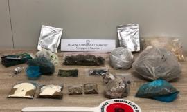 Camerino, in casa tre serre per coltivare marijuana e un machete: in manette 40enne inglese