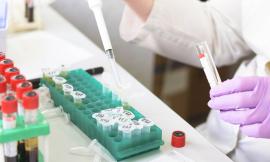 Coronavirus, nelle Marche 159 tamponi positivi: salgono a 7 i casi in provincia di Macerata
