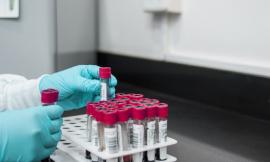 Coronavirus, altri 5 tamponi positivi nelle Marche: salgono a 11 i contagiati