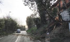 Allerta meteo, in arrivo tempeste di vento: il limite delle nevicate sale a quota mille metri