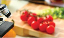 "Nutrigenomica e sviluppo sostenibile": convegno Unicam a Jesi