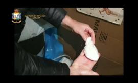 Civitanova, blitz antidroga della Finanza: sequestrati 62 grammi di cocaina (VIDEO)