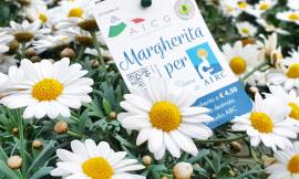 Civitanova, torna la "Margherita per Airc" al Centro di Giardinaggio Pellegrini