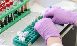 Coronavirus, primo contagio nell'Ascolano. Ceriscioli: "Si va verso il raddoppio dei casi nelle Marche"