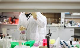 Coronavirus Marche, oltre 1200 tamponi effettuati nelle ultime 24 ore: 53 i casi risultati positivi