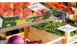 Civitanova, riparte il mercato in Centro, Ciarapica: "Sono contrario ma non mi è permesso evitarlo"