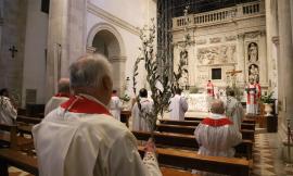 Domenica delle Palme, Mons. Dal Cin: "Abbiamo bisogno di essere guariti dal nostro egoismo"