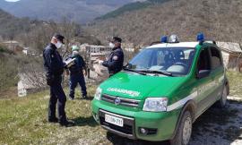 Carabinieri Forestali, il bilancio del 2021: oltre un milione di euro di multe, incendi boschivi triplicati
