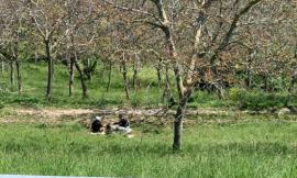 Macerata, la voglia di libertà dei cittadini: 2 giovani non resistono e improvvisano un pic-nic