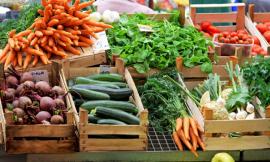Camerino, da sabato tornerà il mercato: lunedì riapriranno isole ecologiche, parchi e cimiteri