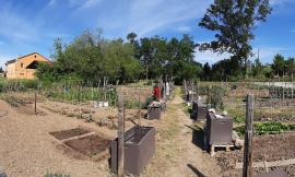 Recanati, orti sociali: una risorsa ai tempi del Covid-19
