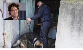 Maxi operazione anti-Mafia della Finanza, blitz nelle Marche per 15 milioni di euro: coinvolto un ex concorrente del Grande Fratello