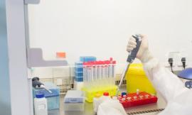 Coronavirus Marche, 5 nuovi casi ma meno test effettuati: 3 sono nel Maceratese